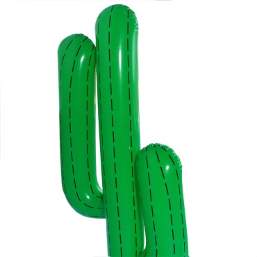 Hot water inflatable cactus-shaped toys