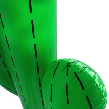 Hot water inflatable cactus-shaped toys